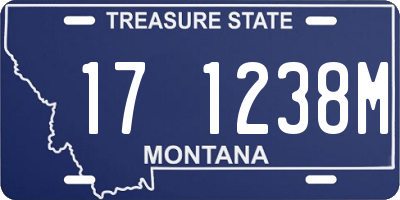 MT license plate 171238M