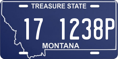 MT license plate 171238P