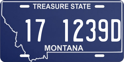 MT license plate 171239D