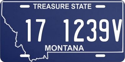 MT license plate 171239V