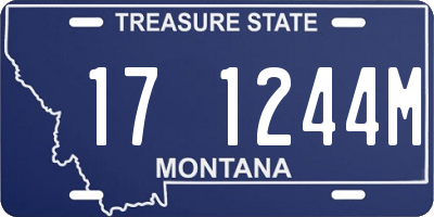 MT license plate 171244M
