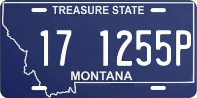 MT license plate 171255P