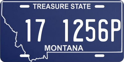 MT license plate 171256P