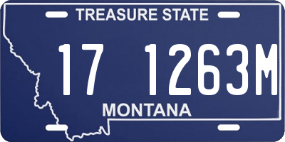 MT license plate 171263M