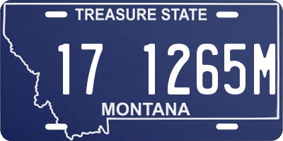 MT license plate 171265M