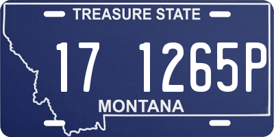 MT license plate 171265P