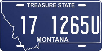 MT license plate 171265U