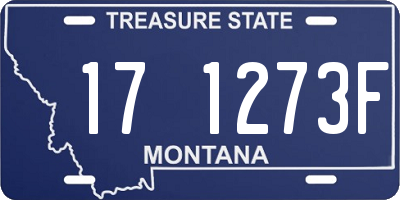MT license plate 171273F