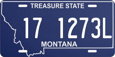 MT license plate 171273L