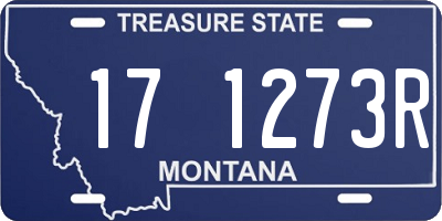 MT license plate 171273R