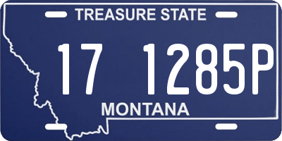 MT license plate 171285P
