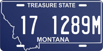 MT license plate 171289M