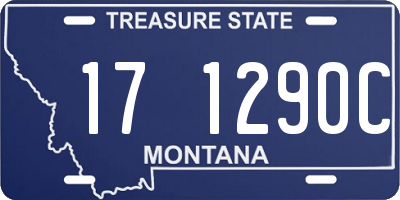 MT license plate 171290C