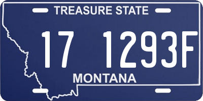 MT license plate 171293F