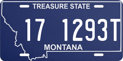 MT license plate 171293T