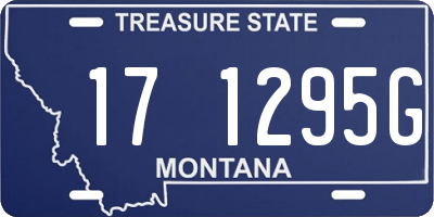 MT license plate 171295G