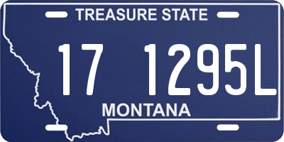 MT license plate 171295L