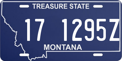 MT license plate 171295Z