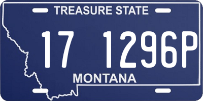 MT license plate 171296P