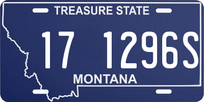 MT license plate 171296S