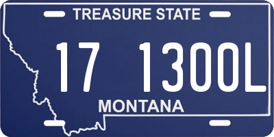 MT license plate 171300L