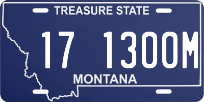 MT license plate 171300M