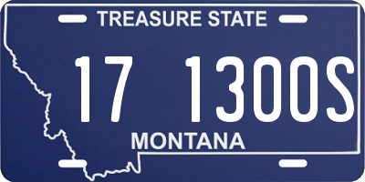 MT license plate 171300S