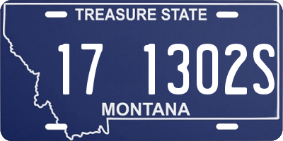 MT license plate 171302S