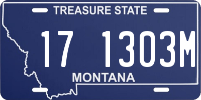 MT license plate 171303M