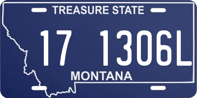 MT license plate 171306L