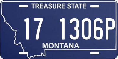 MT license plate 171306P