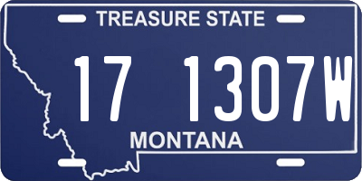 MT license plate 171307W