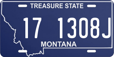MT license plate 171308J