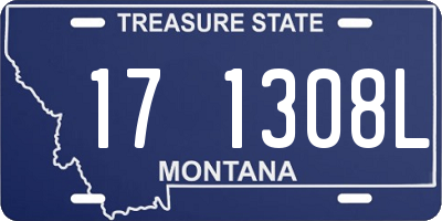 MT license plate 171308L