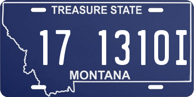 MT license plate 171310I