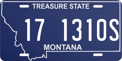 MT license plate 171310S