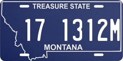 MT license plate 171312M