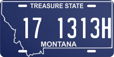 MT license plate 171313H