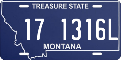 MT license plate 171316L
