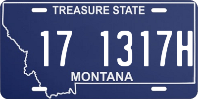MT license plate 171317H