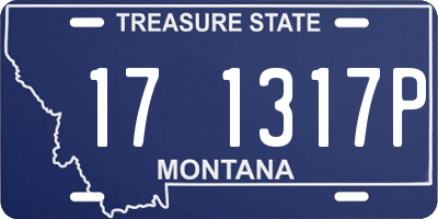 MT license plate 171317P