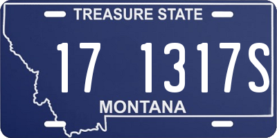 MT license plate 171317S