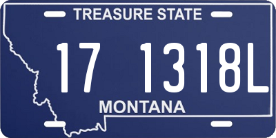 MT license plate 171318L