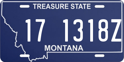 MT license plate 171318Z