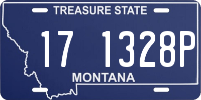 MT license plate 171328P