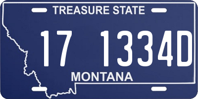 MT license plate 171334D