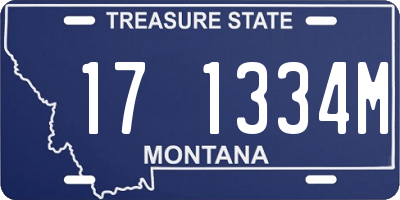 MT license plate 171334M