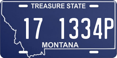 MT license plate 171334P