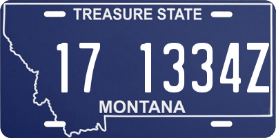 MT license plate 171334Z