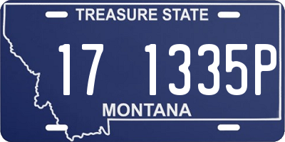 MT license plate 171335P